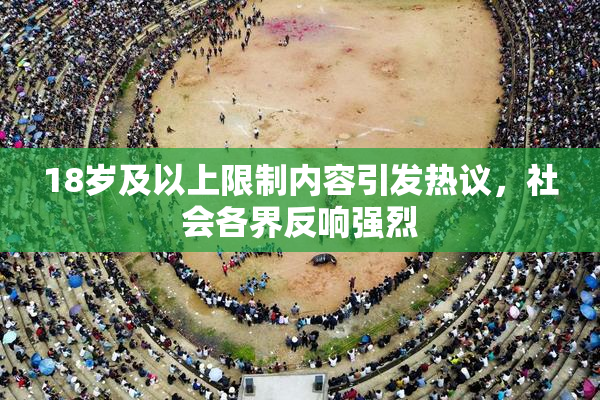 18岁及以上限制内容引发热议，社会各界反响强烈