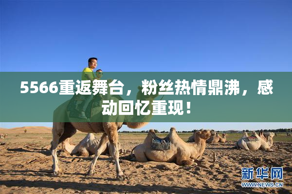 5566重返舞台，粉丝热情鼎沸，感动回忆重现！