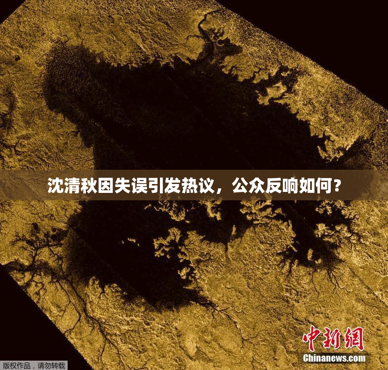 沈清秋因失误引发热议，公众反响如何？