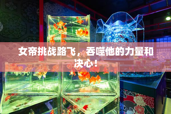 女帝挑战路飞，吞噬他的力量和决心！