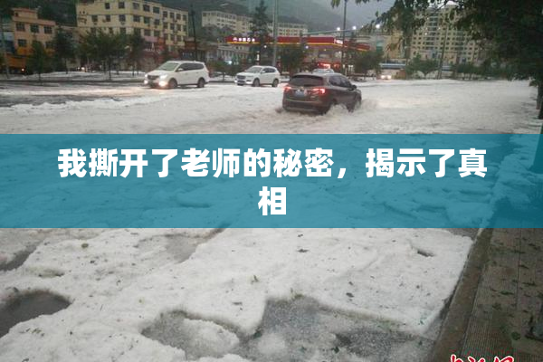 我撕开了老师的秘密，揭示了真相