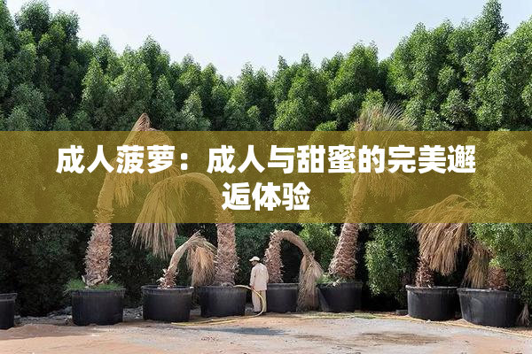 成人菠萝：成人与甜蜜的完美邂逅体验