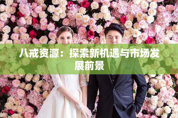 八戒资源：探索新机遇与市场发展前景