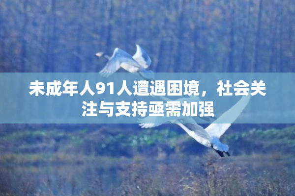 未成年人91人遭遇困境，社会关注与支持亟需加强
