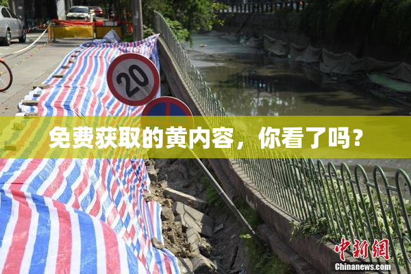 免费获取的黄内容，你看了吗？