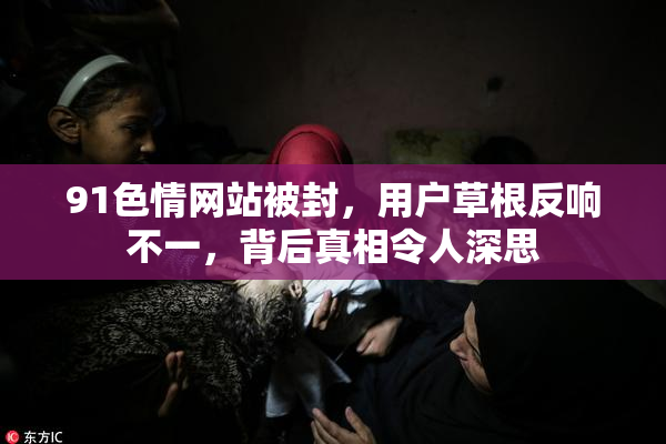 91色情网站被封，用户草根反响不一，背后真相令人深思