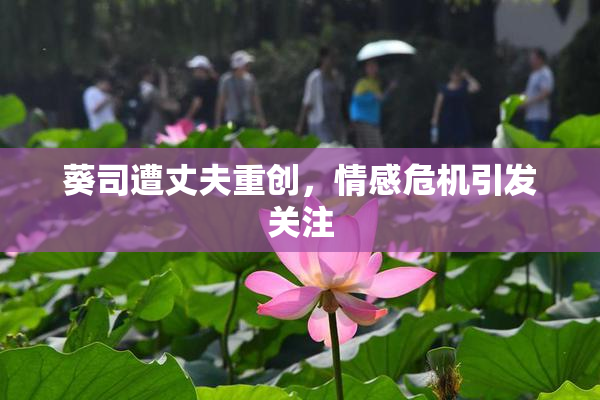 葵司遭丈夫重创，情感危机引发关注