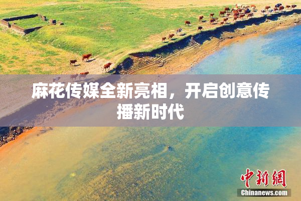 麻花传媒全新亮相，开启创意传播新时代