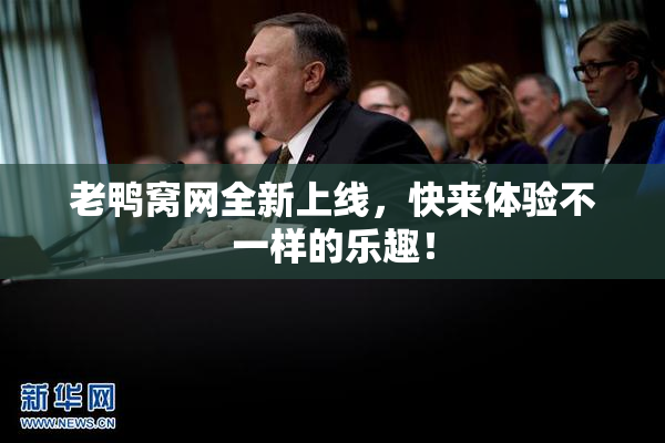 老鸭窝网全新上线，快来体验不一样的乐趣！