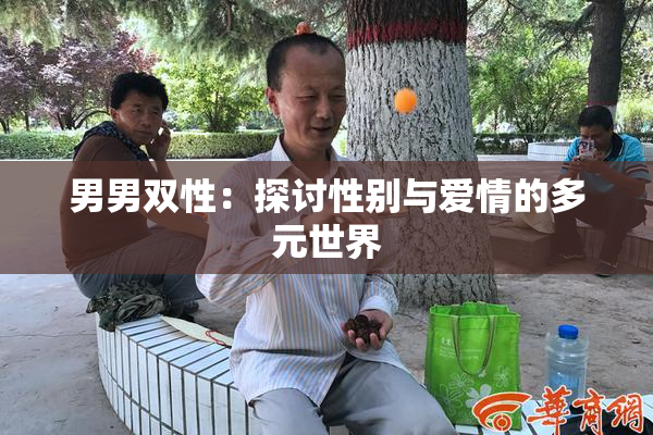 男男双性：探讨性别与爱情的多元世界