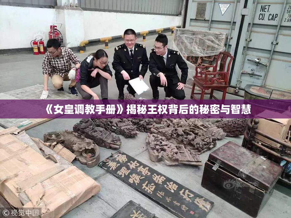 《女皇调教手册》揭秘王权背后的秘密与智慧
