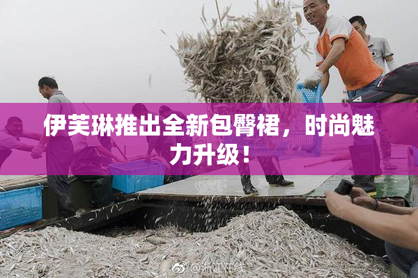 伊芙琳推出全新包臀裙，时尚魅力升级！