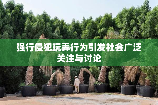 强行侵犯玩弄行为引发社会广泛关注与讨论
