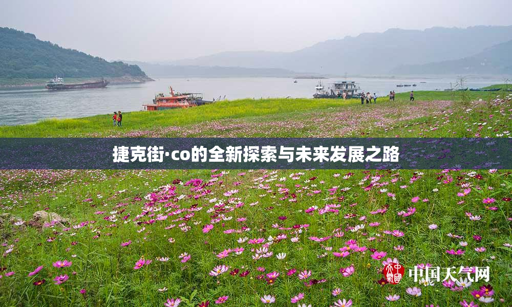 捷克街·co的全新探索与未来发展之路