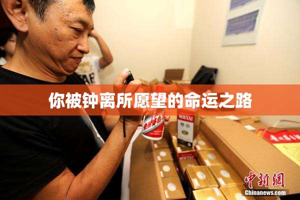 你被钟离所愿望的命运之路
