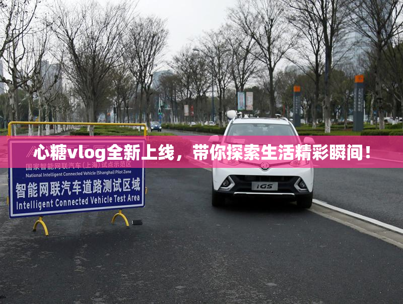心糖vlog全新上线，带你探索生活精彩瞬间！