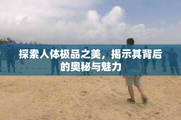 探索人体极品之美，揭示其背后的奥秘与魅力