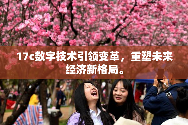 17c数字技术引领变革，重塑未来经济新格局。
