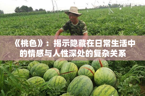 《桃色》：揭示隐藏在日常生活中的情感与人性深处的复杂关系