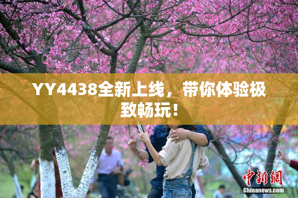 YY4438全新上线，带你体验极致畅玩！