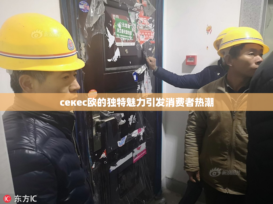 ceкес欧的独特魅力引发消费者热潮