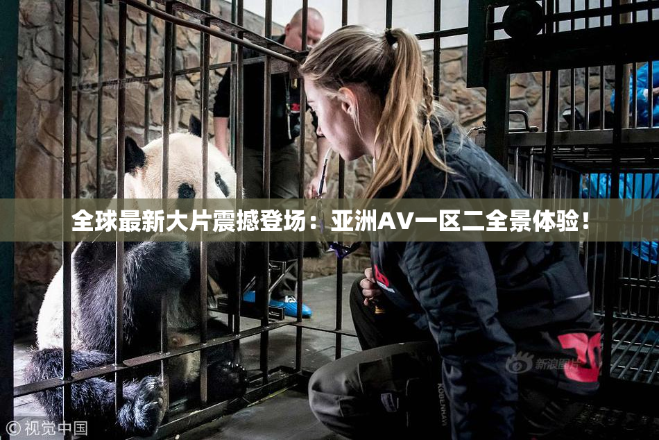 全球最新大片震撼登场：亚洲AV一区二全景体验！
