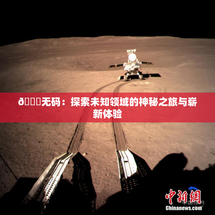 🔞无码：探索未知领域的神秘之旅与崭新体验