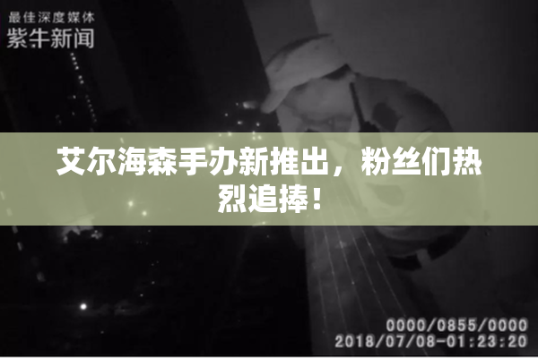 艾尔海森手办新推出，粉丝们热烈追捧！