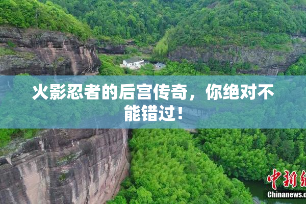 火影忍者的后宫传奇，你绝对不能错过！