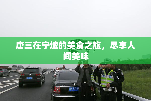 唐三在宁城的美食之旅，尽享人间美味