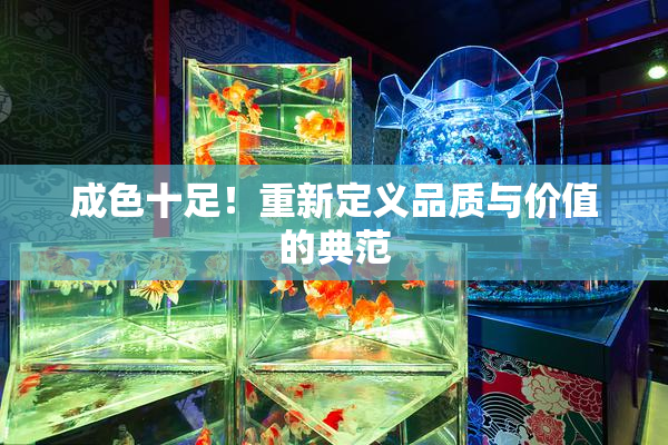 成色十足！重新定义品质与价值的典范