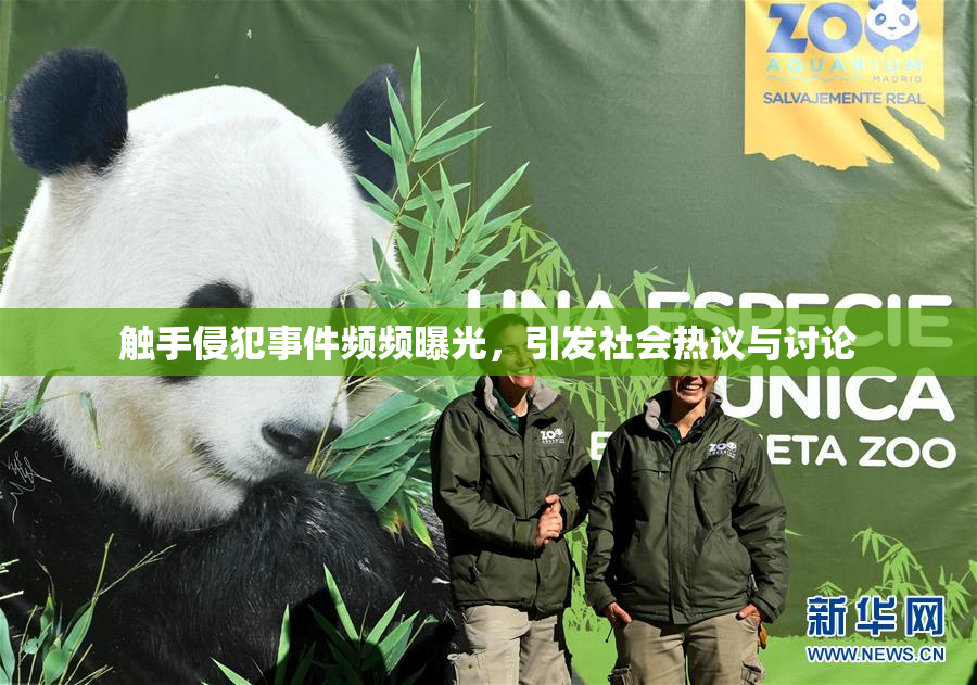 触手侵犯事件频频曝光，引发社会热议与讨论