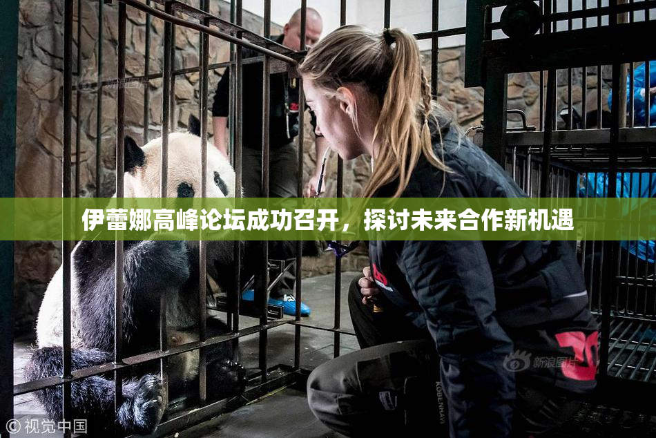 伊蕾娜高峰论坛成功召开，探讨未来合作新机遇