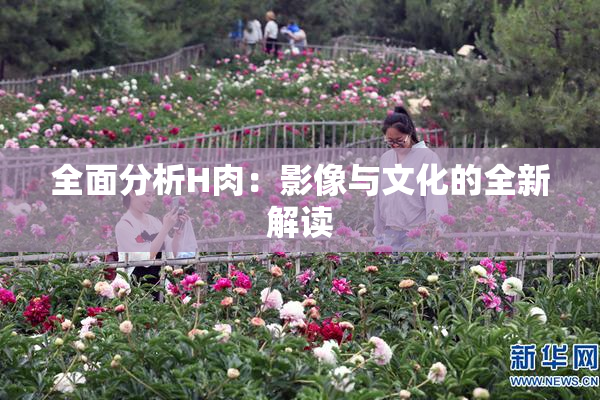 全面分析H肉：影像与文化的全新解读