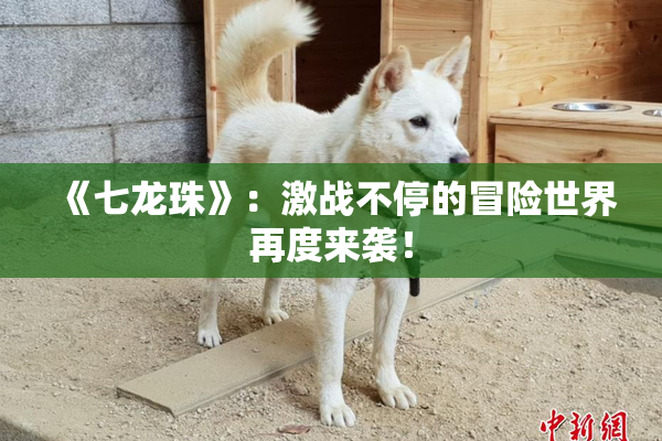 《七龙珠》：激战不停的冒险世界再度来袭！