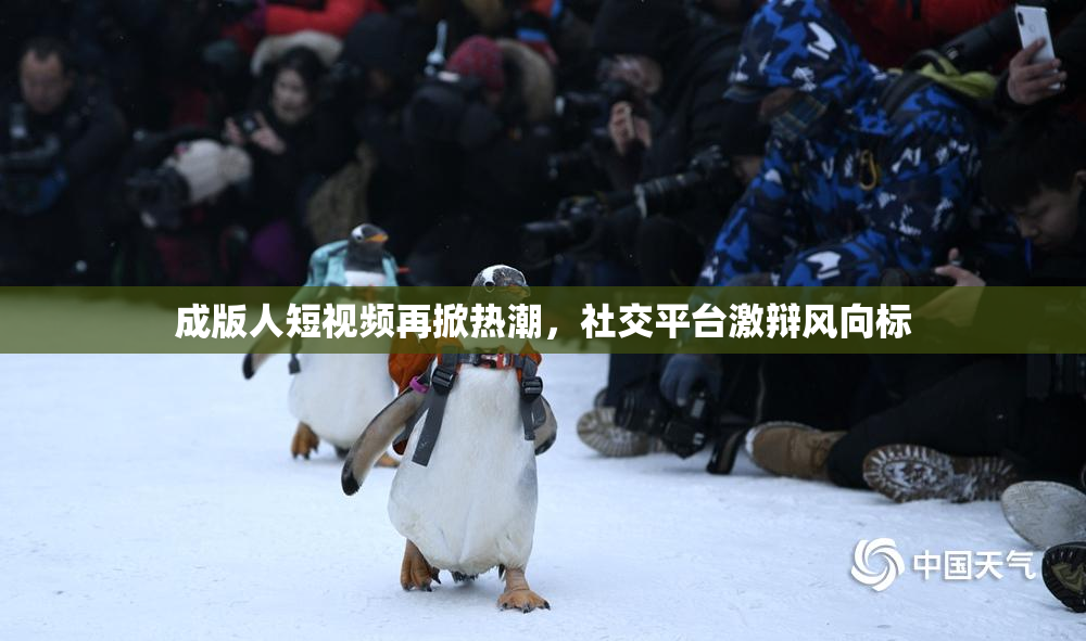 成版人短视频再掀热潮，社交平台激辩风向标