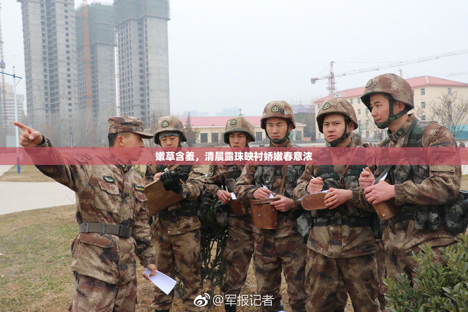 嫩草含羞，清晨露珠映衬娇嫩春意浓