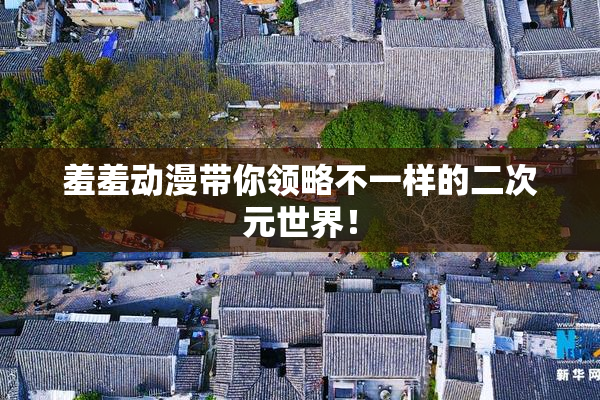 羞羞动漫带你领略不一样的二次元世界！