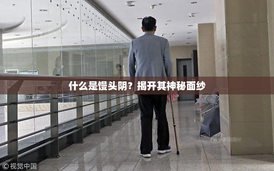 什么是馒头阴？揭开其神秘面纱