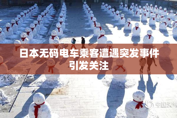 日本无码电车乘客遭遇突发事件引发关注