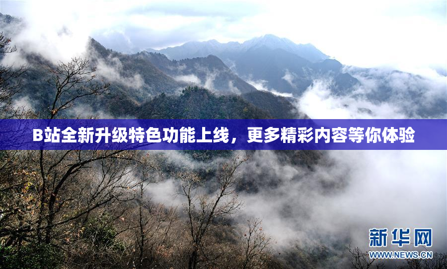B站全新升级特色功能上线，更多精彩内容等你体验