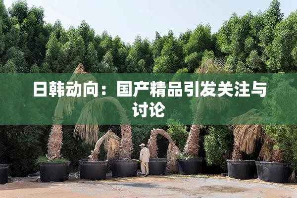日韩动向：国产精品引发关注与讨论
