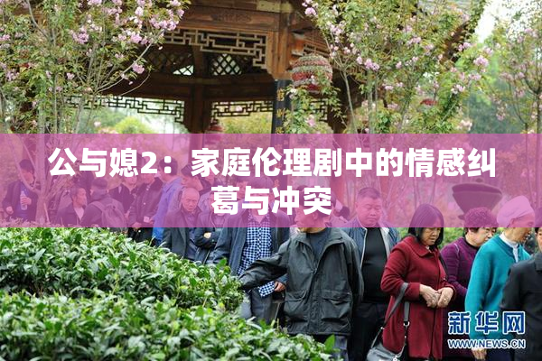 公与媳2：家庭伦理剧中的情感纠葛与冲突