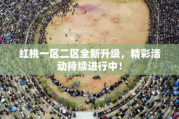 红桃一区二区全新升级，精彩活动持续进行中！