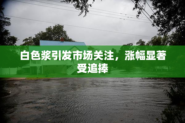 白色浆引发市场关注，涨幅显著受追捧