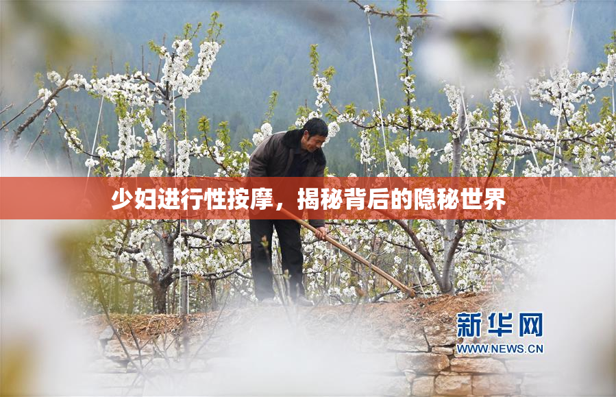 少妇进行性按摩，揭秘背后的隐秘世界