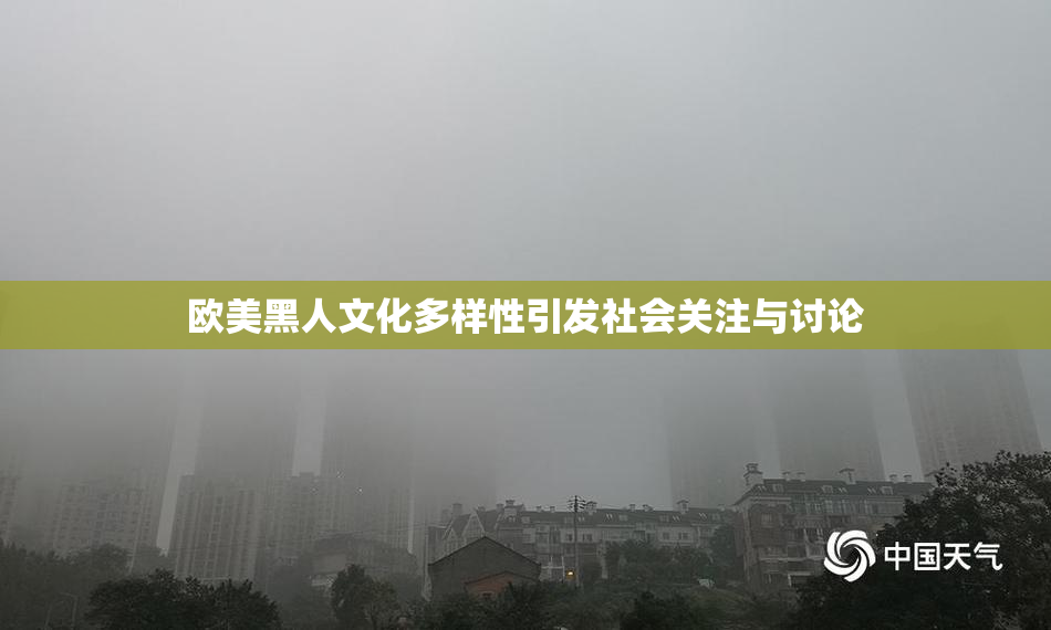 欧美黑人文化多样性引发社会关注与讨论