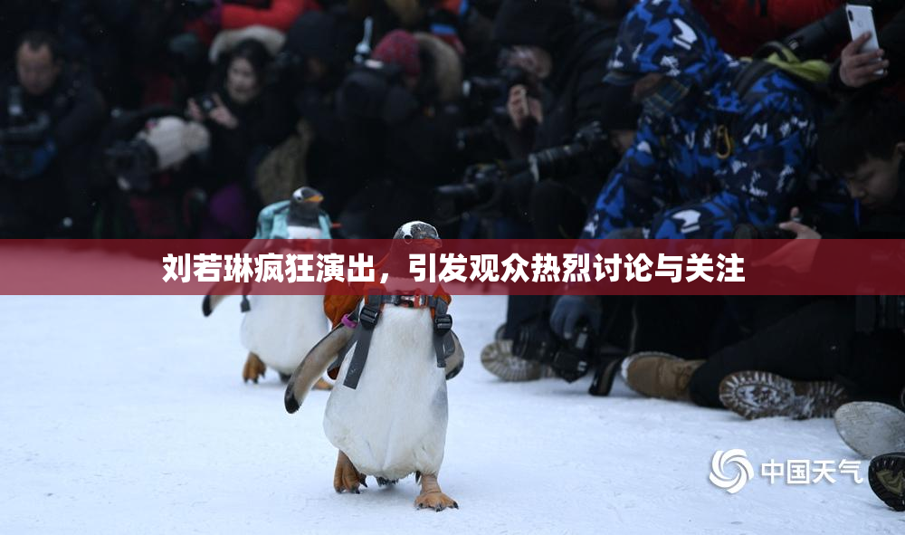刘若琳疯狂演出，引发观众热烈讨论与关注