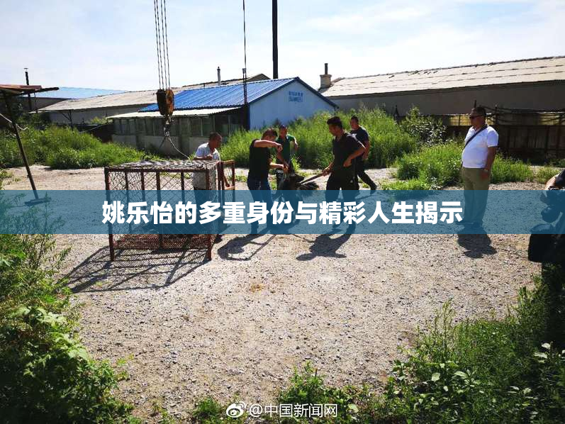 姚乐怡的多重身份与精彩人生揭示