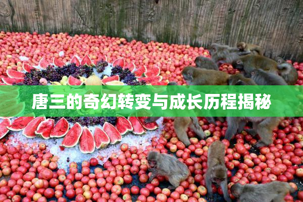 唐三的奇幻转变与成长历程揭秘